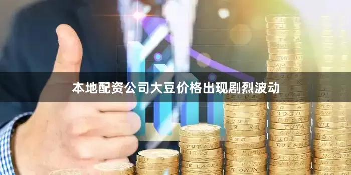 本地配资公司大豆价格出现剧烈波动