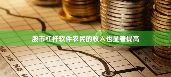 股市杠杆软件农民的收入也显著提高