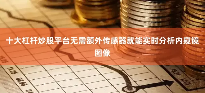十大杠杆炒股平台无需额外传感器就能实时分析内窥镜图像
