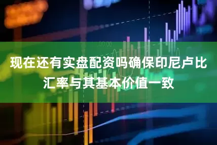现在还有实盘配资吗确保印尼卢比汇率与其基本价值一致
