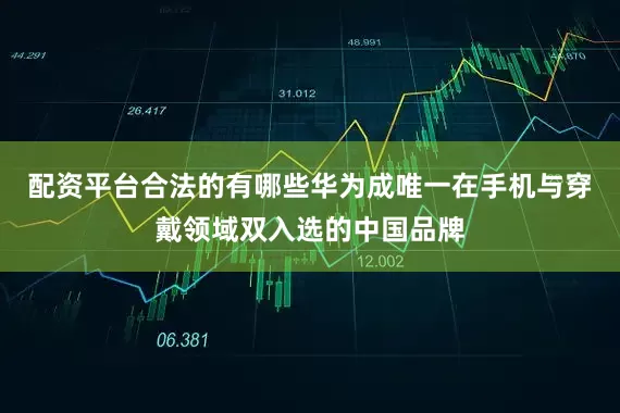 配资平台合法的有哪些华为成唯一在手机与穿戴领域双入选的中国品牌