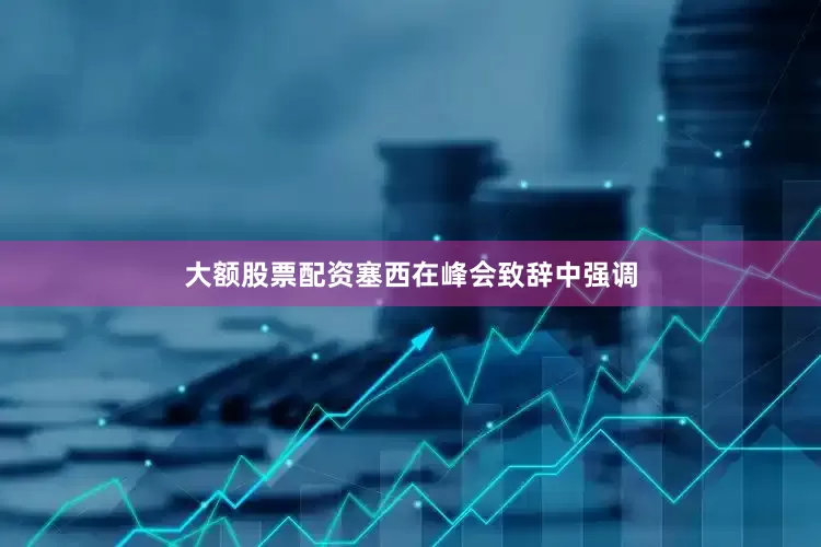 大额股票配资塞西在峰会致辞中强调