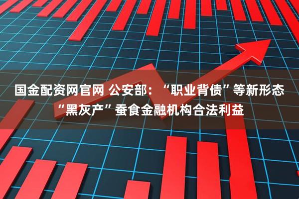 国金配资网官网 公安部：“职业背债”等新形态“黑灰产”蚕食金融机构合法利益